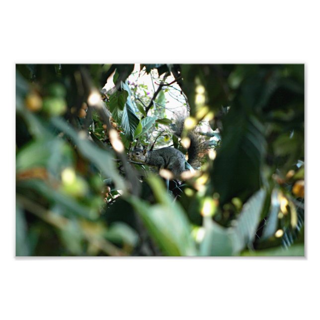 Impression Photo Terrasse de la ville (Devant)