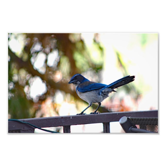 Impression Photo Terrasse de la ville (Devant)