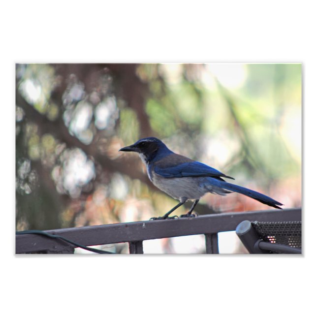 Impression Photo Terrasse de la ville (Devant)