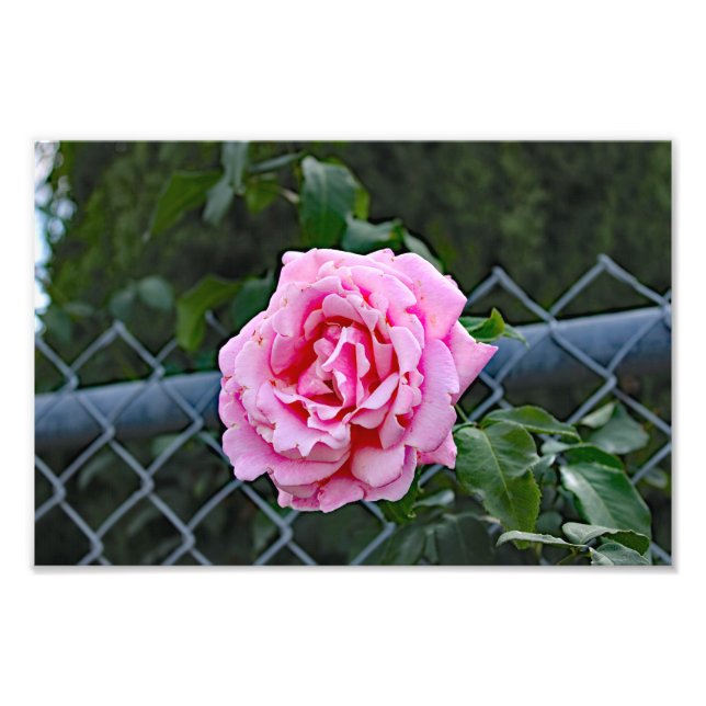 Impression Photo Terrasse de la ville (Devant)