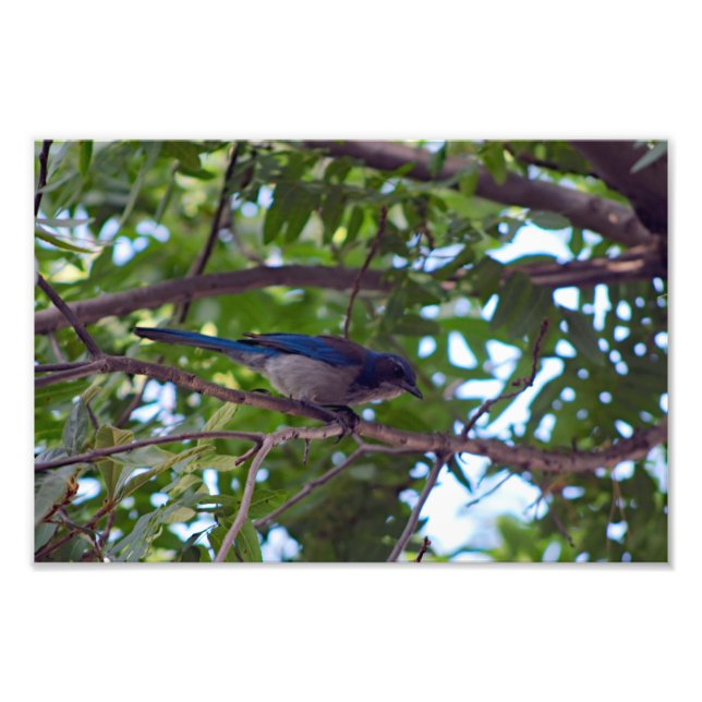 Impression Photo Terrasse de la ville (Devant)