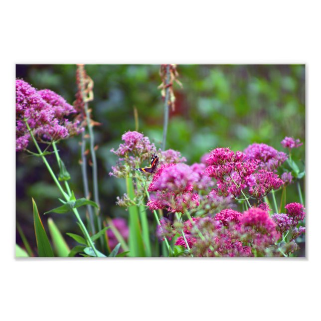 Impression Photo Terrasse de la ville (Devant)