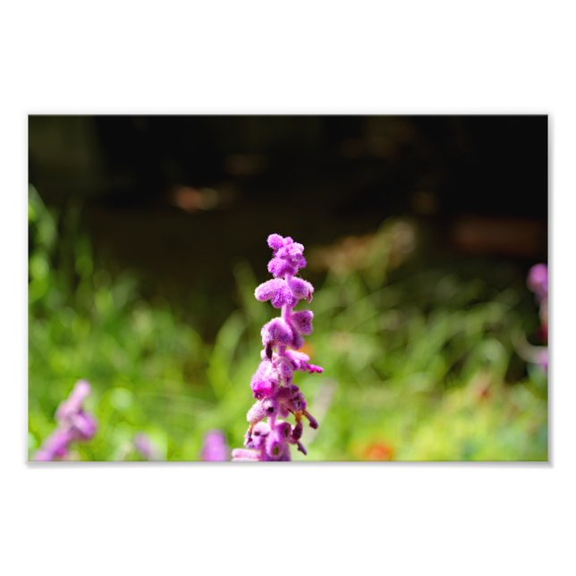 Impression Photo Terrasse de la ville (Devant)