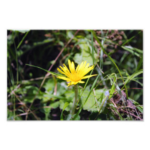 Impression Photo Terrasse de la ville