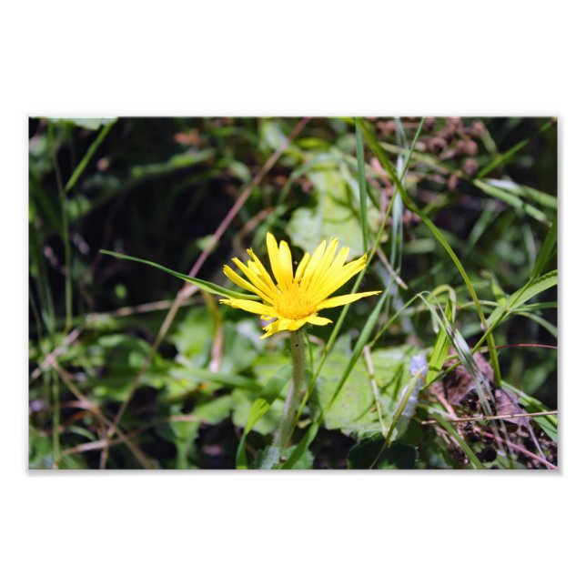 Impression Photo Terrasse de la ville (Devant)