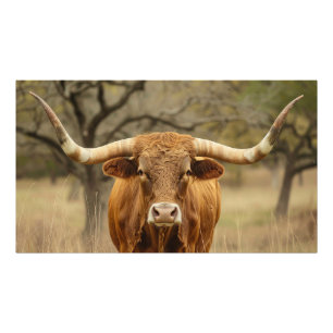 Impression Photo Texas Longhorn Bull