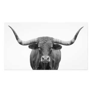 Impression Photo Texas Longhorn Bull noir blanc