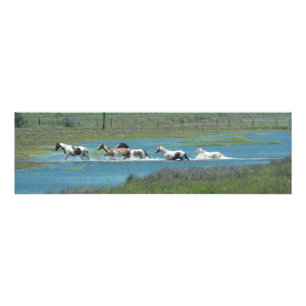 Impression Photo The Herd par Leslie Peppers