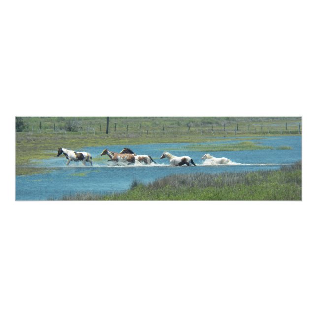 Impression Photo The Herd par Leslie Peppers (Devant)