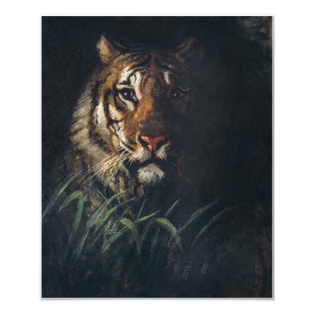 Impression Photo Tiger's Head peinture par Abbott Handerson Thayer (Devant)
