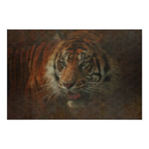 Impression Photo Tigre