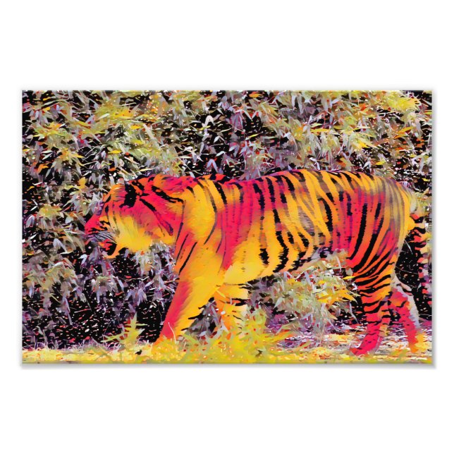 Impression Photo Tigre coloré (Devant)