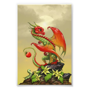 Impression Photo Tomate Dragon 4x6 Imprimer