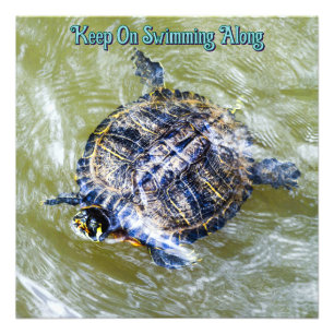 Impression Photo Tortue de natation dit Bonjour