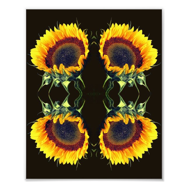 Impression Photo Tournesol Au Soleil Fleur Abstraite Art 8x10 (Devant)