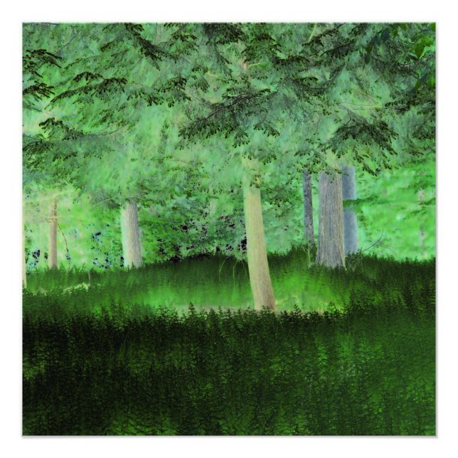 Impression Photo "Tout pourrait arriver" Forêt transformée magique (Devant)