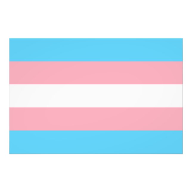 Impression Photo transgenre flag trans lgbt lgbtq gay lesbian homo (Devant)
