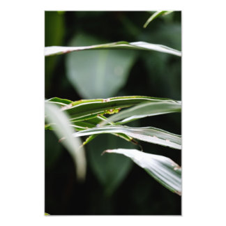 Impression Photo Traverses feuillues