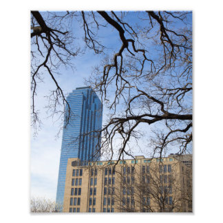 Impression Photo Tree and Tall Building, Dallas, Texas