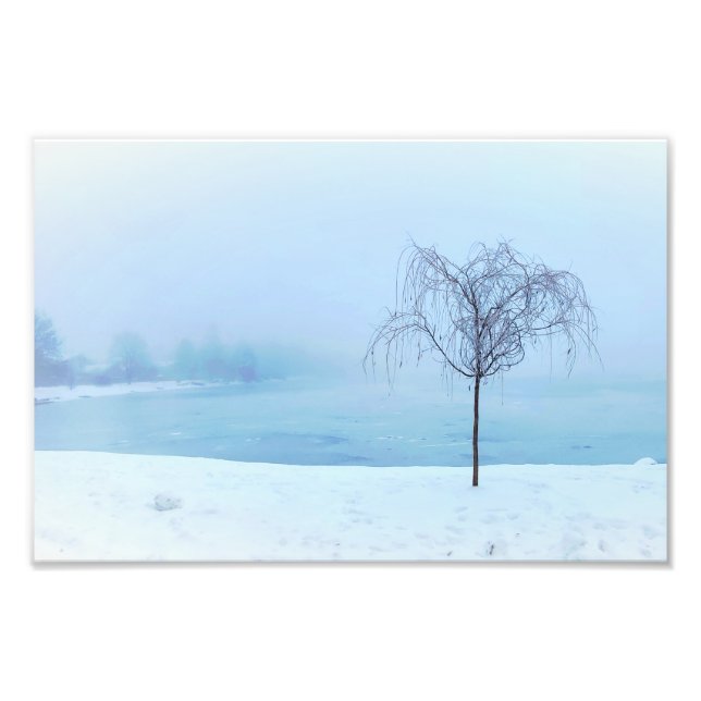 Impression Photo Tree by a Frozen Lake (Devant)