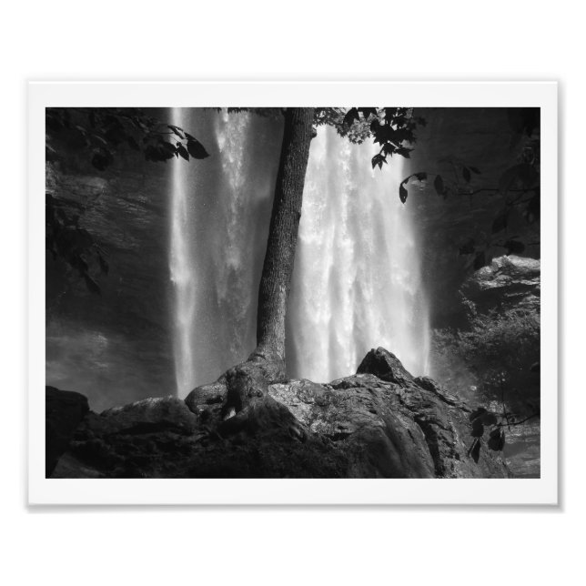 Impression Photo Tree Falls B&W (Devant)
