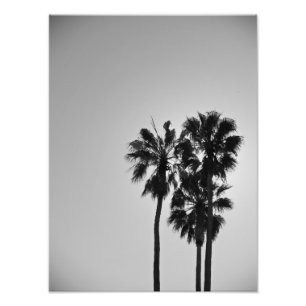 Impression Photo Treesome