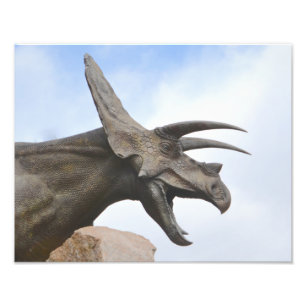 Impression Photo Tricératops Dinosaur
