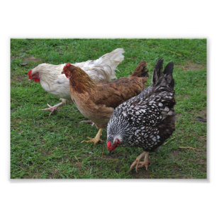 Impression Photo Trois Amigos