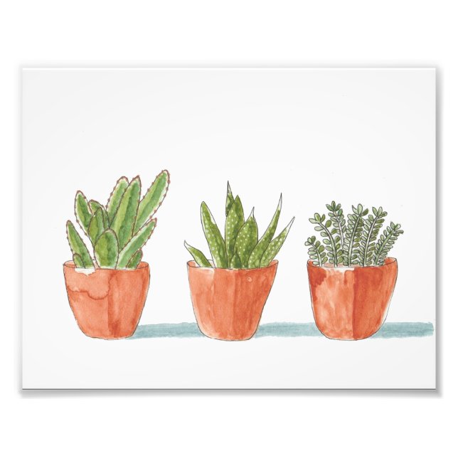 Impression Photo Trois cactus dans une rangée (Devant)
