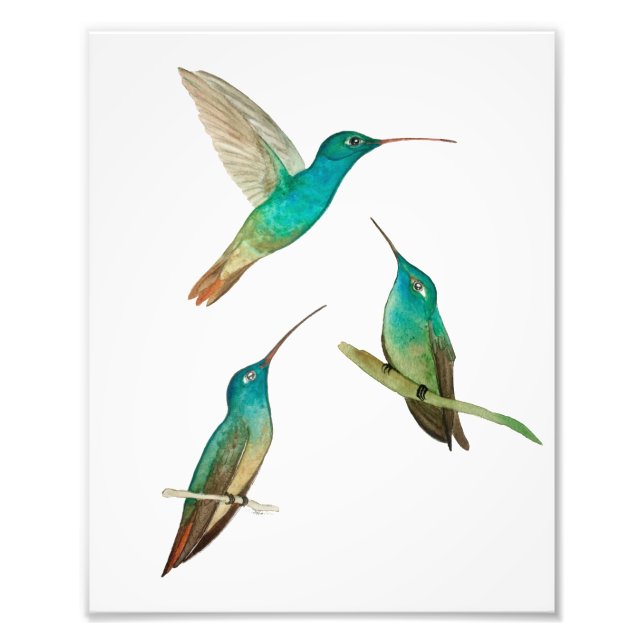 Impression Photo Trois colibris  (Devant)