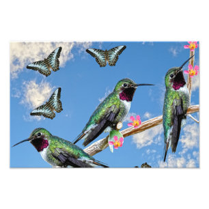 Impression Photo Trois colibris perchés sur une branche Floss Silt