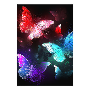 Impression Photo Trois papillons brillants sur l'arrière - plan de