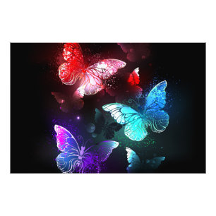 Impression Photo Trois papillons brillants sur l'arrière - plan de 