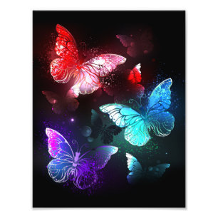 Impression Photo Trois papillons brillants sur l'arrière - plan de