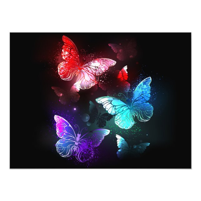 Impression Photo Trois papillons brillants sur l'arrière - plan de  (Devant)