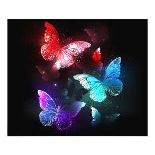 Impression Photo Trois papillons brillants sur l'arrière - plan de 