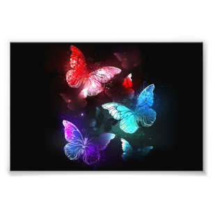 Impression Photo Trois papillons brillants sur l'arrière - plan de