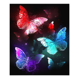 Impression Photo Trois papillons lumineux sur fond de nuit