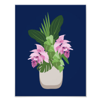 Impression Photo Tropical Medinilla Rose Flower Vase sur Bleu foncé