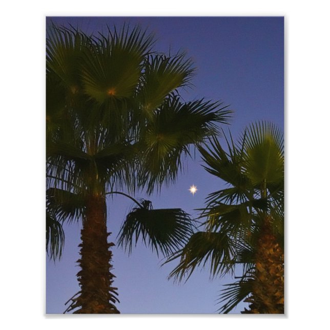 Impression Photo Tropical Palm Tree Wall Art Twilight Coastal (Devant)