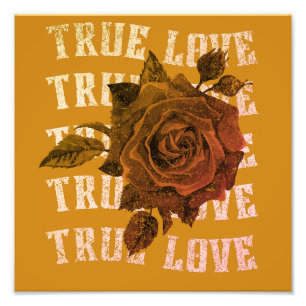 Impression Photo True Love Rose Romantique Saint Valentin B&W