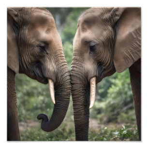 Impression Photo "Trunk to Trunk : A Gentle Elephant Embrasser"