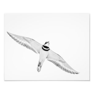 Impression Photo Tueur en flammes