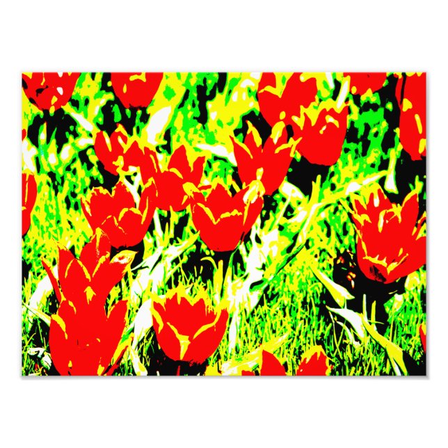 Impression Photo Tulipes (Devant)