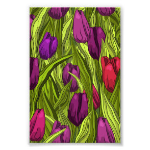 Impression Photo Tulipes