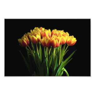 Impression Photo Tulipes dans le vase de fleurs