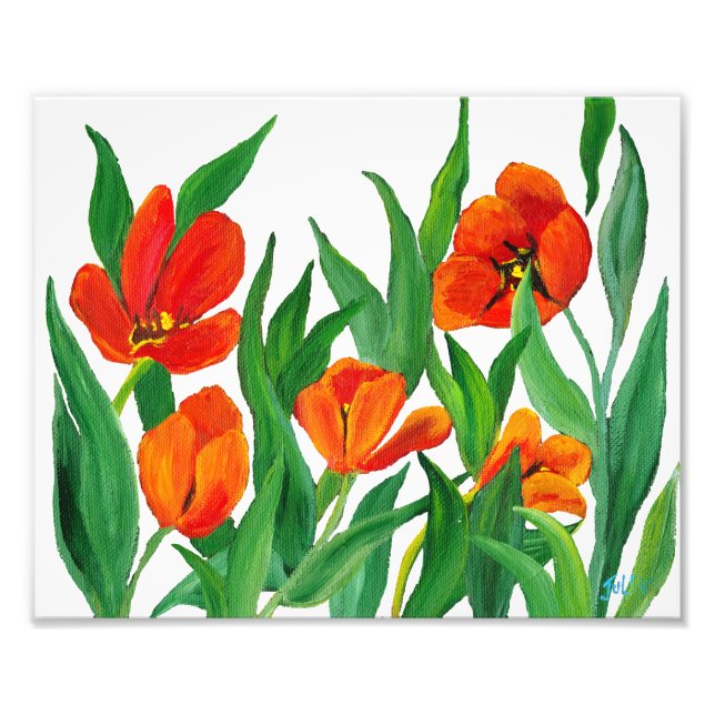 Impression Photo Tulipes rouges (Devant)