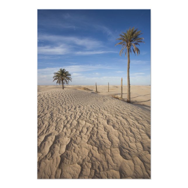 Impression Photo Tunisie, désert du Sahara, Douz, Grande Dune, aube (Devant)
