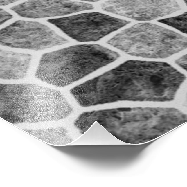 Impression Photo Ultime Gris Pavage Patchwork Motif Terrazzo (Coin)