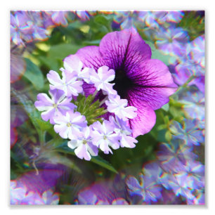 Impression Photo Un Bouquet de fleurs d'été